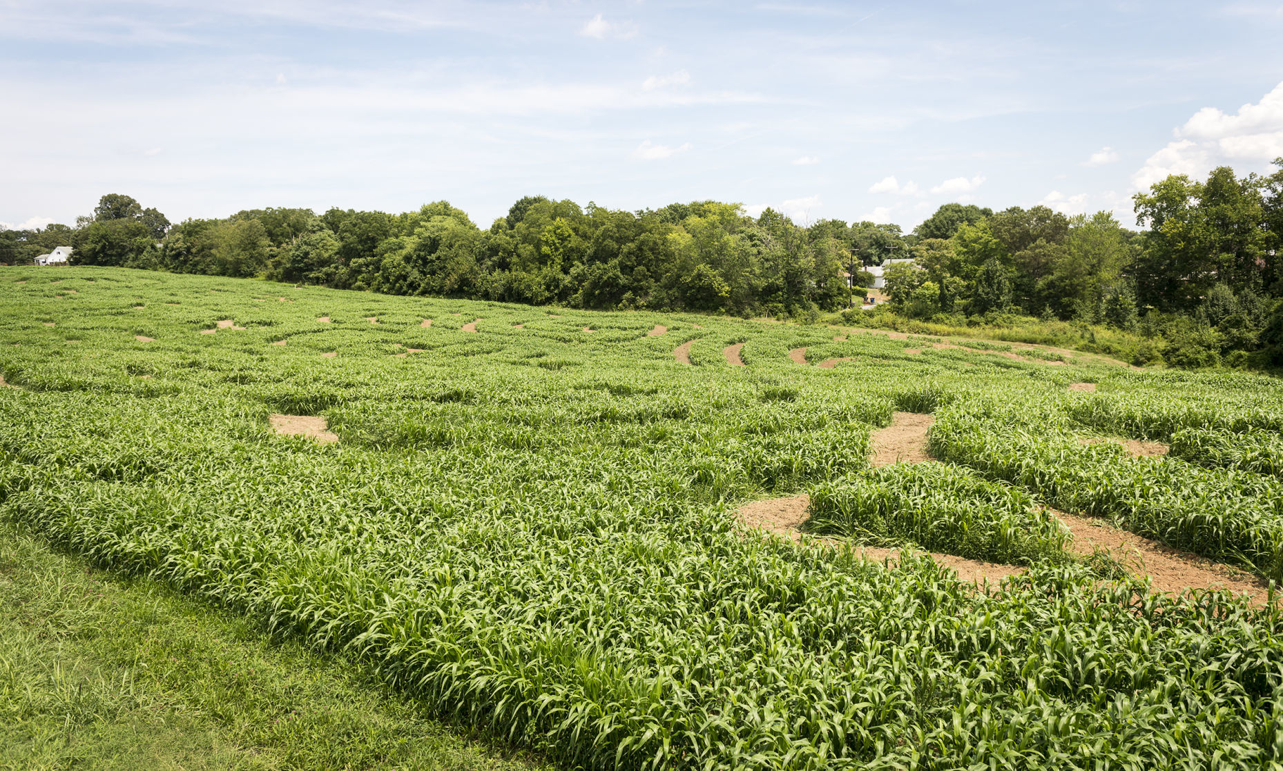 childrensfarm